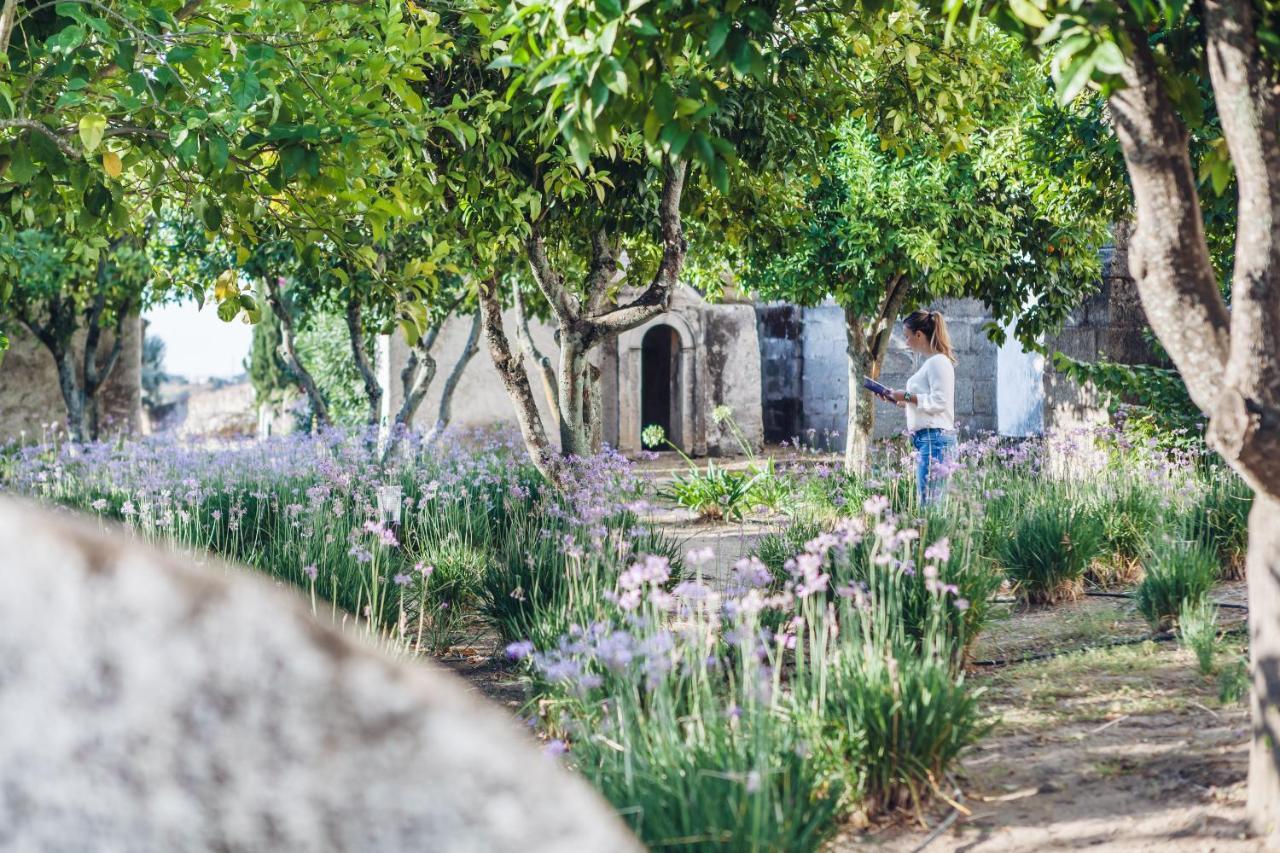 Convento Do Espinheiro, Historic Hotel & Spa Έβορα Εξωτερικό φωτογραφία The cemetery of the village